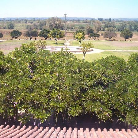 Pensjonat Quinta Do Casalinho Almeirim Zewnętrze zdjęcie